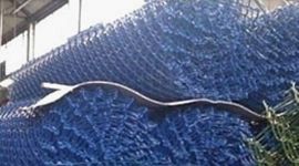 rete metallica ricoperta in pvc