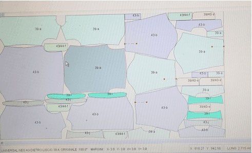 Mappa di segmentazione a colori con regioni numerate e confini delineati sullo schermo di un computer.