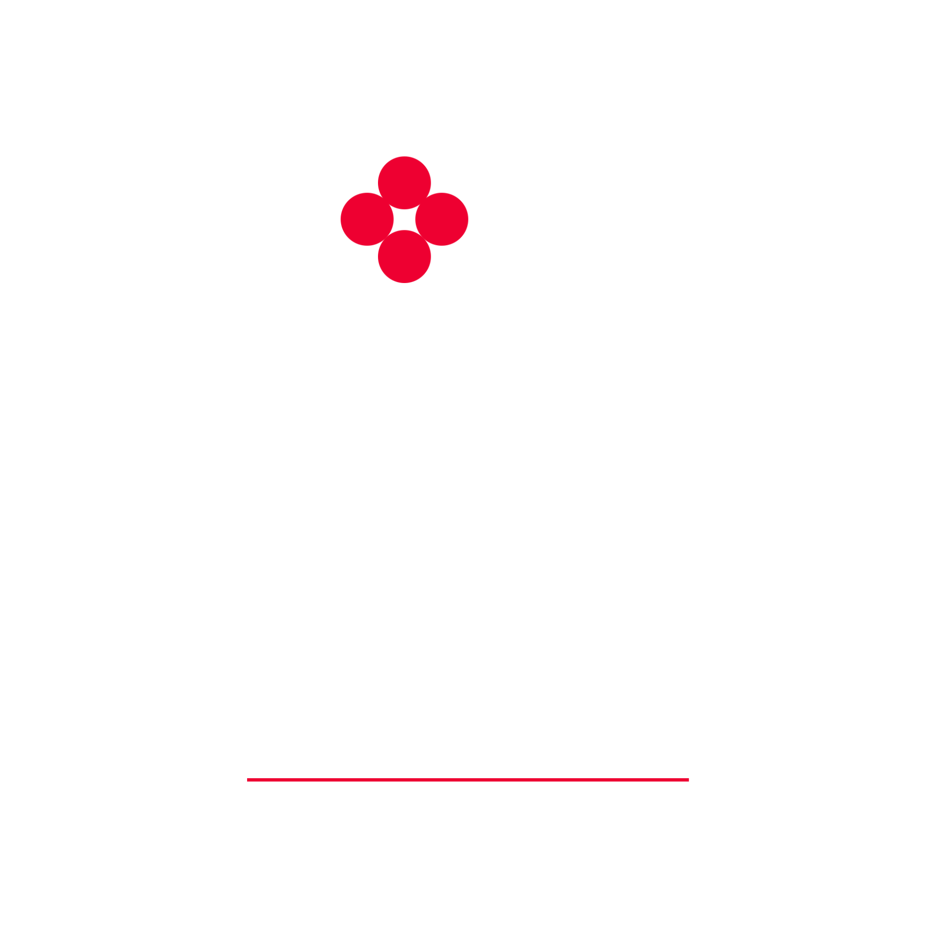 Un fiore rosso fluttua nell'aria su uno sfondo bianco.