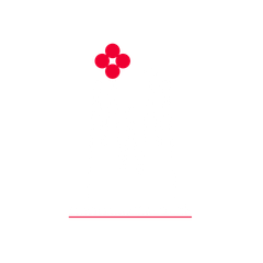Un fiore rosso fluttua nell'aria su uno sfondo bianco.