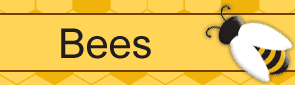 Honey Bees for Sale
