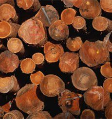 logs