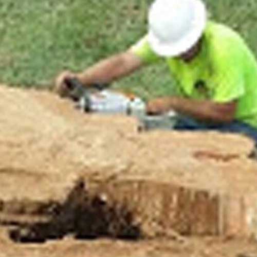 Man Removing Tree Stump — Davenport, FL - Brigg's Tree Service, LLC Man Removing Tree Stump — Davenport, FL - Brigg's Tree Service, LLC