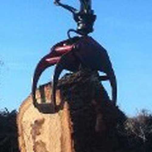 Tree Stump Hauling — Davenport, FL - Brigg's Tree Service, LLC Tree Stump Hauling — Davenport, FL - Brigg's Tree Service, LLC