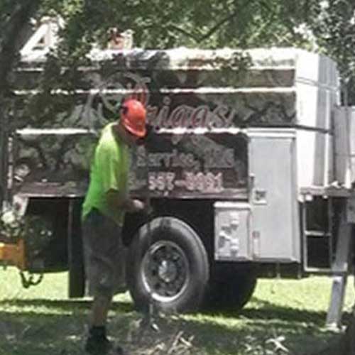 Tree With Branches Cut Off — Davenport, FL - Brigg's Tree Service, LLC Tree With Branches Cut Off — Davenport, FL - Brigg's Tree Service, LLC