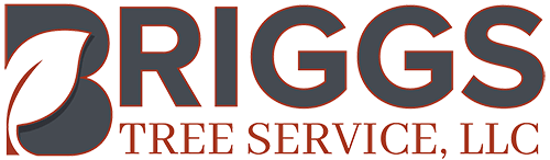 Briggs Tree Service, LLC Briggs Tree Service, LLC