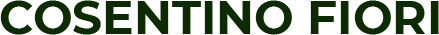 ONORANZE FUNEBRI COSENTINO PINO SERVIZI E CREMAZIONI FUNEBRI-LOGO