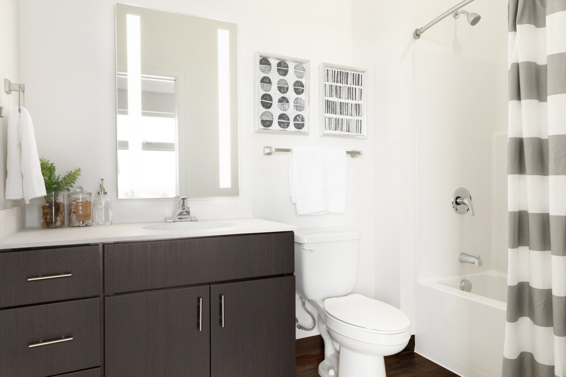 affordable studio apartments minneapolis