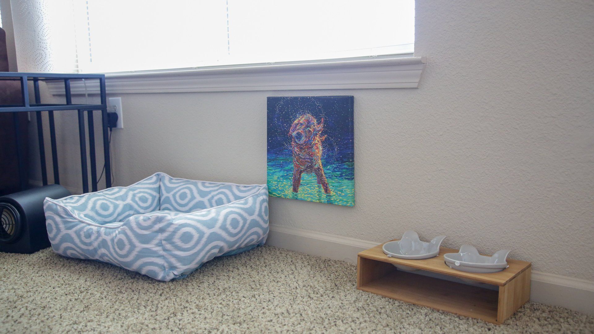 pet area