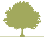 graphic of tree