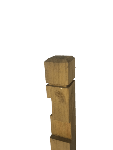 Custom Post Top