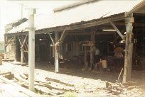 Saw Milling Shed