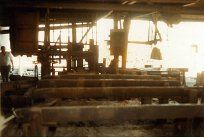 Timber Grading Bench