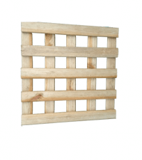 Square Lattice