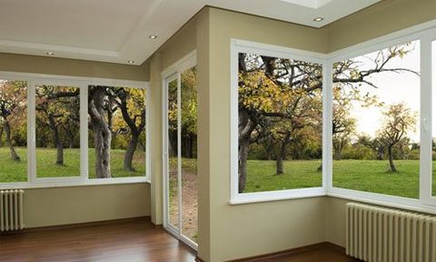 windows with a view