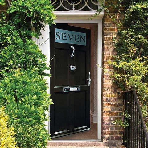 aluminum main door
