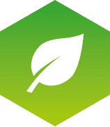 Environmental icon