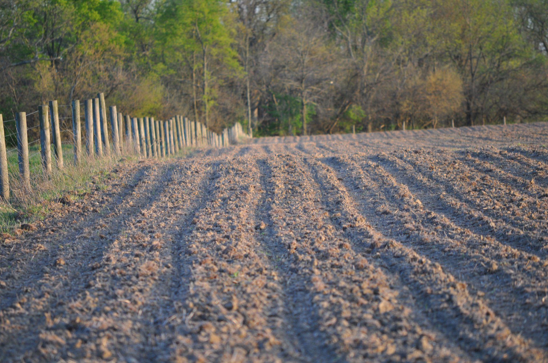 plowed field