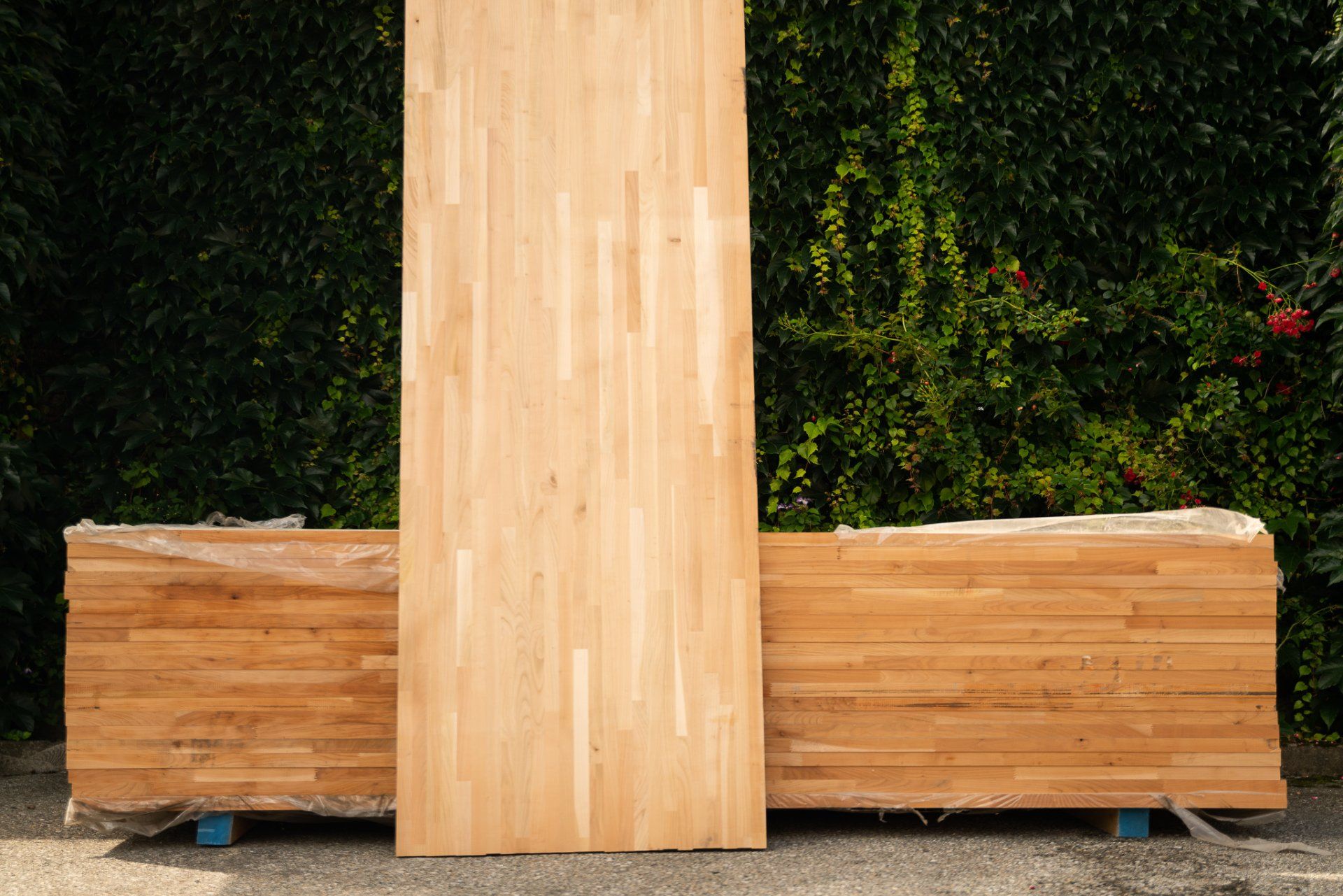 Holzplatten vor einer grünen Hecke