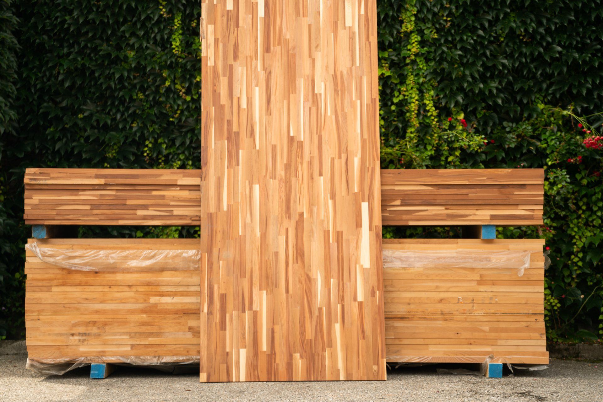 Holzplatten vor dichten grünen Hecken