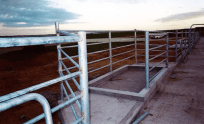 Concrete pavement