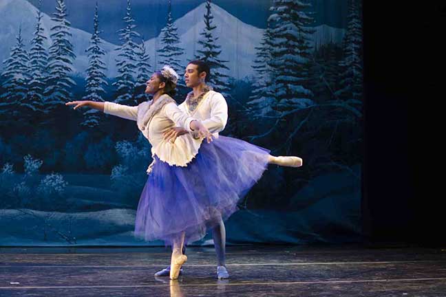 Partnering - Ballet Academy in Schaumburg, IL