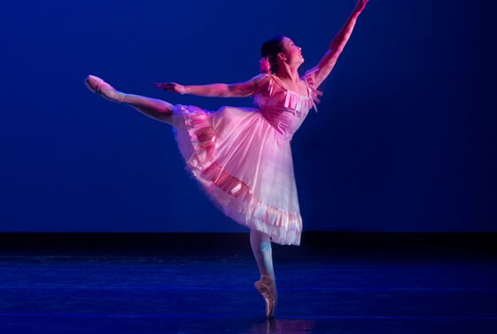 Ballet performance - Ballet Academy in Schaumburg, IL