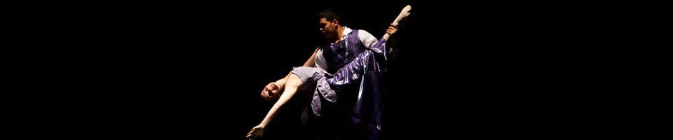 Ballet Performance - Ballet Academy in Schaumburg, IL Ballet Performance - Ballet Academy in Schaumburg, IL