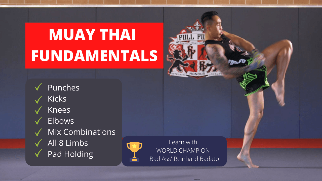 Muay Thai fundamentals poster with a fighter kicking on a dark blue background