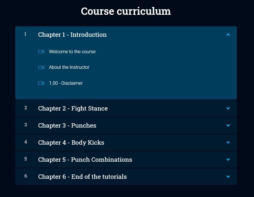 Course curriculum panel showing expandable chapter list on a dark blue interface