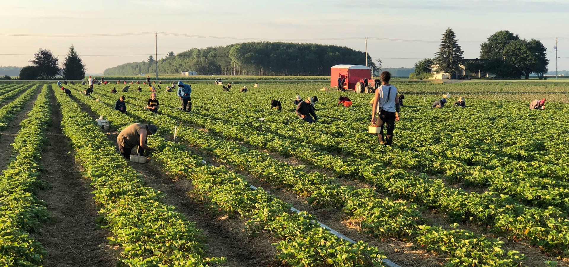 Ferme Gadbois travailleurs