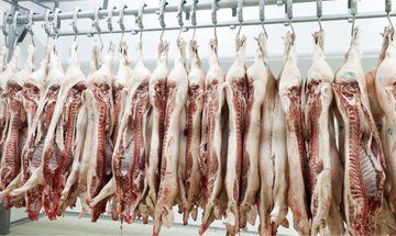 Meat cuts - Hertfordshire - Stansted Meats - Meat Meat cuts - Hertfordshire - Stansted Meats - Meat