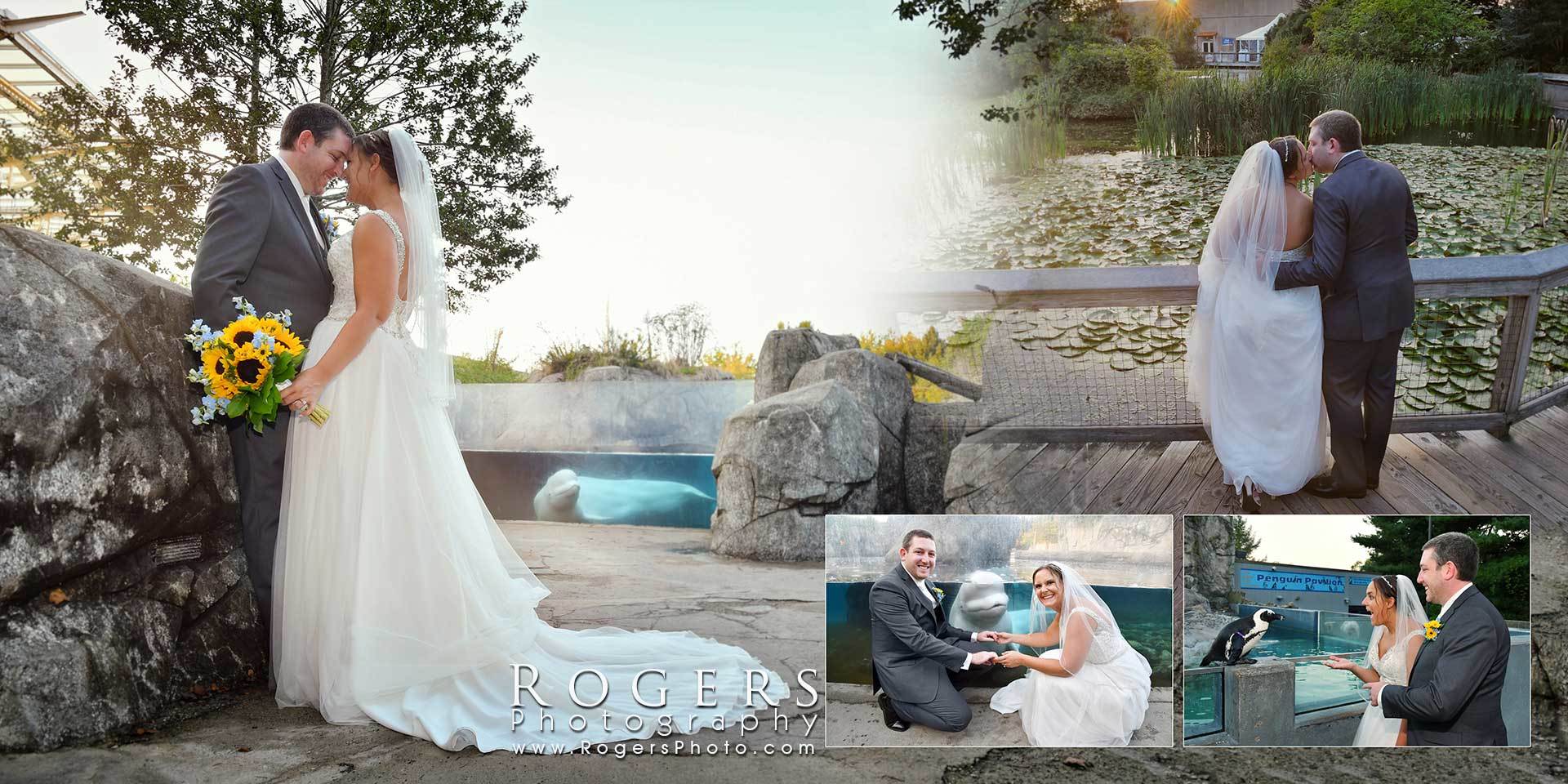 Wedding collage by a rocky lakeside: bride and groom kiss, pose, and toast with champagne.
