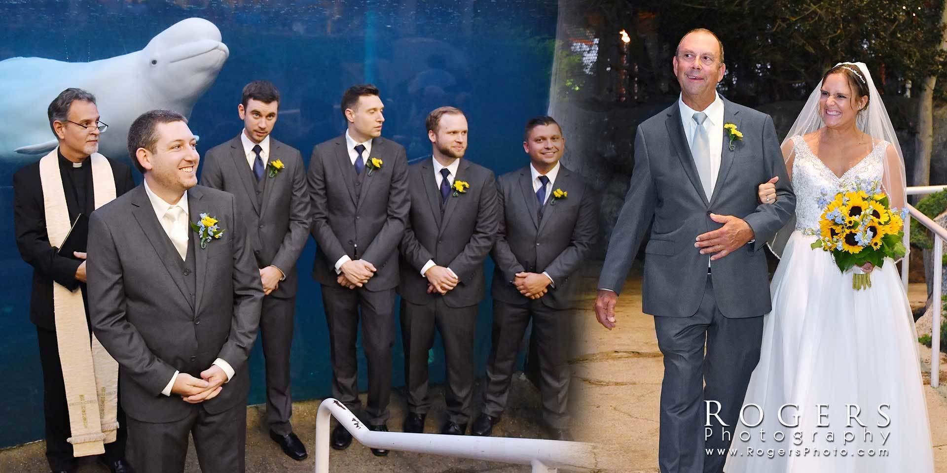 Wedding party standing beside a whale display, with bride and groom at right and groomsmen in dark suits on left