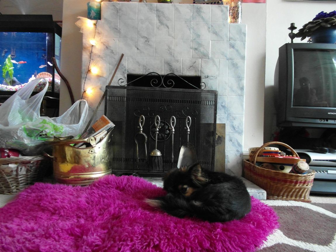 Chimney sweep Brighton