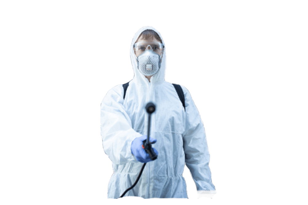 Exterminator in Baltimore MD