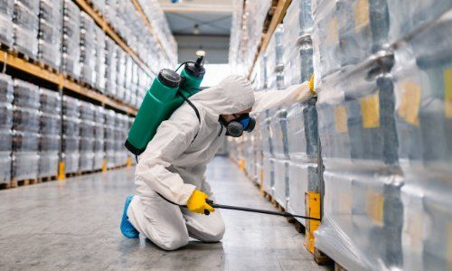 Commercial Pest Control Job in Downtown Baltimore MD