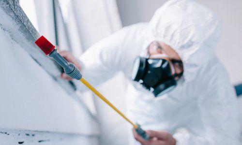 Pest Control job in Locust Point Baltimore