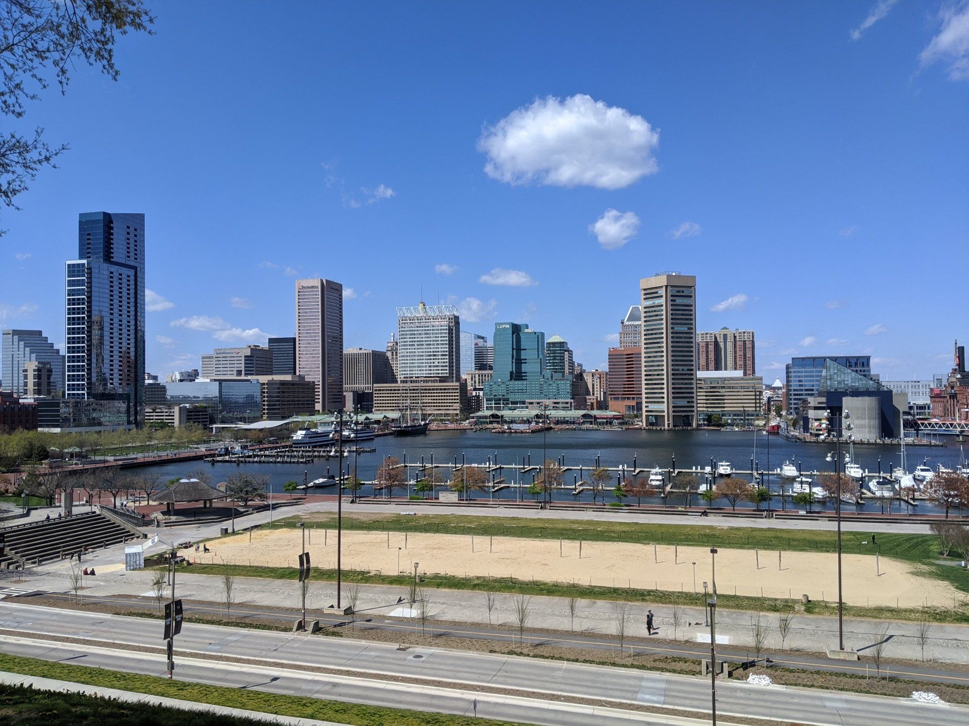 Pest Control Exterminator in Baltimore