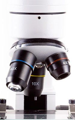 Targeted Cancer Therapy