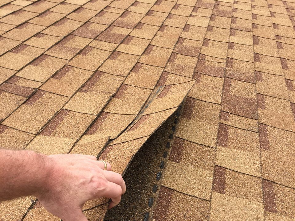 inspecting roof shingles