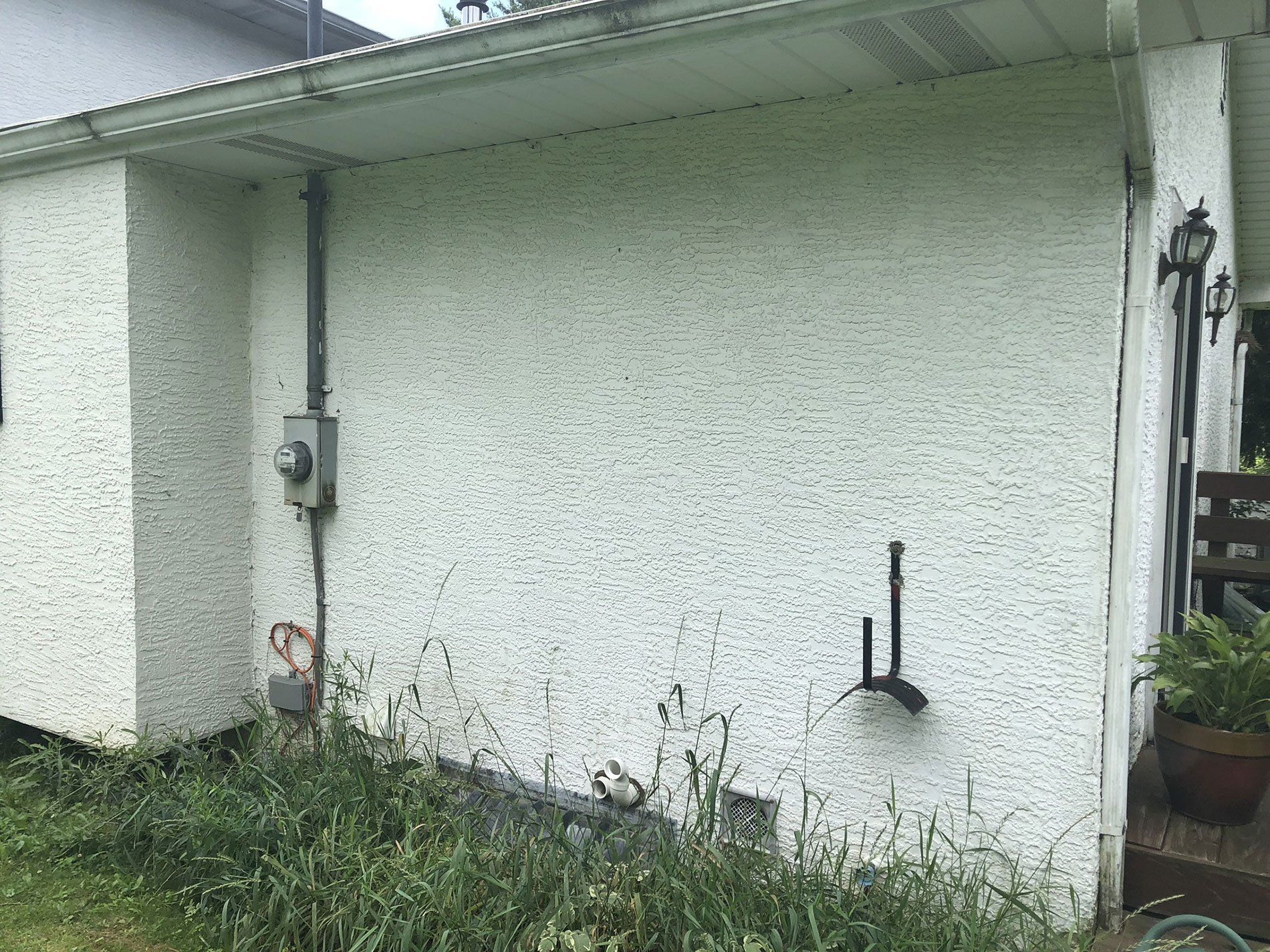 A white house with a lot of weeds growing on the side of it.
