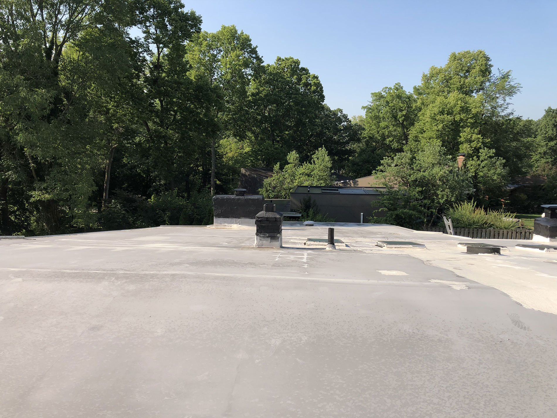 A parking lot with trees in the background on a sunny day.