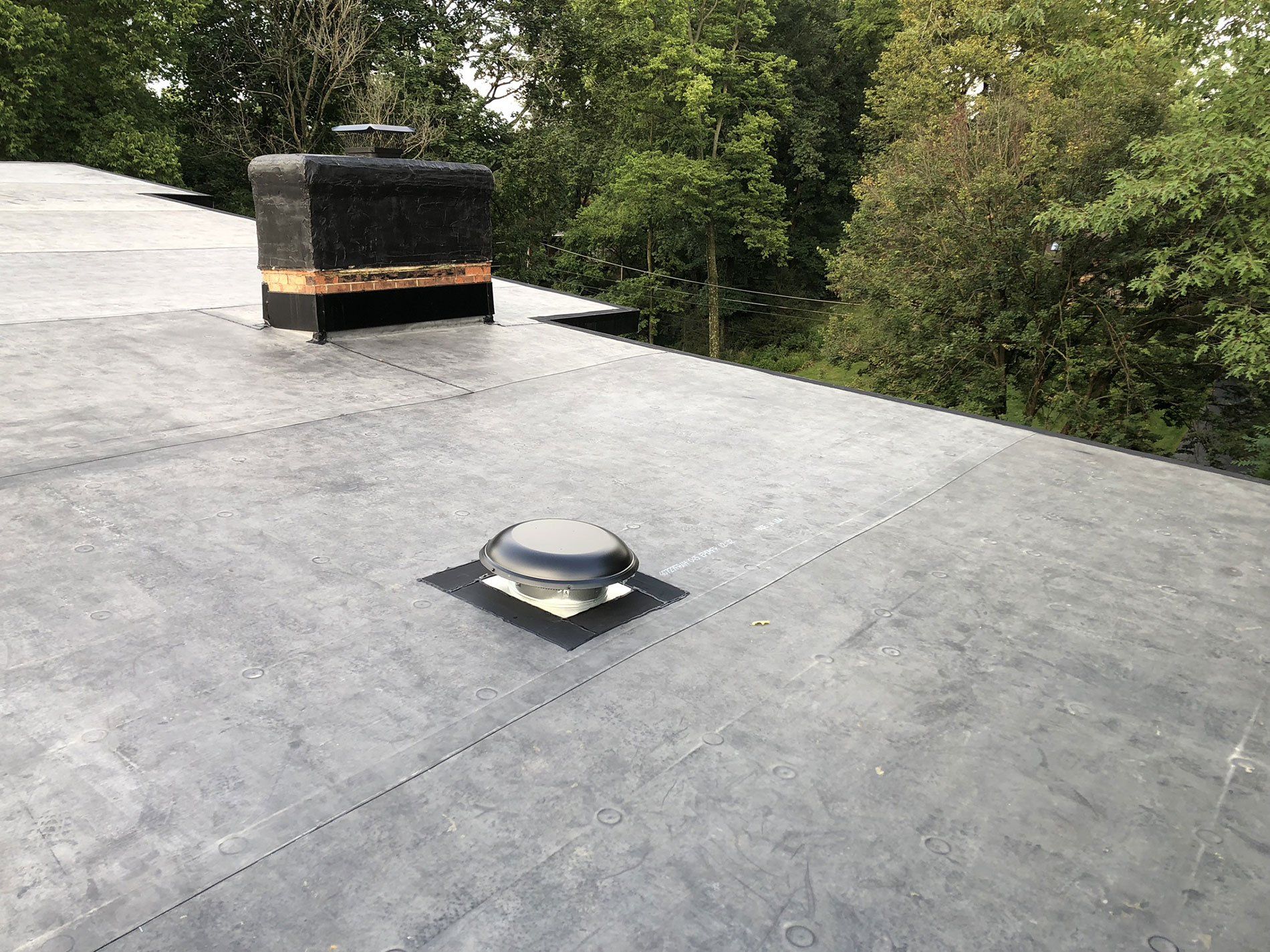 skylight in roof