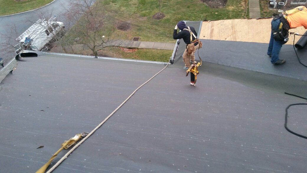 Two men are working on a roof with a rope
