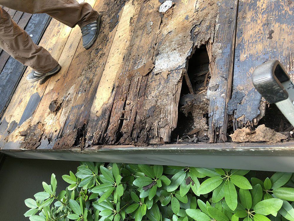 A person is standing on a wooden deck with a hole in it.