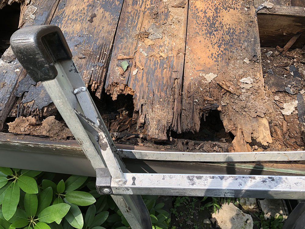 A ladder is sitting on top of a wooden deck with a hole in it.