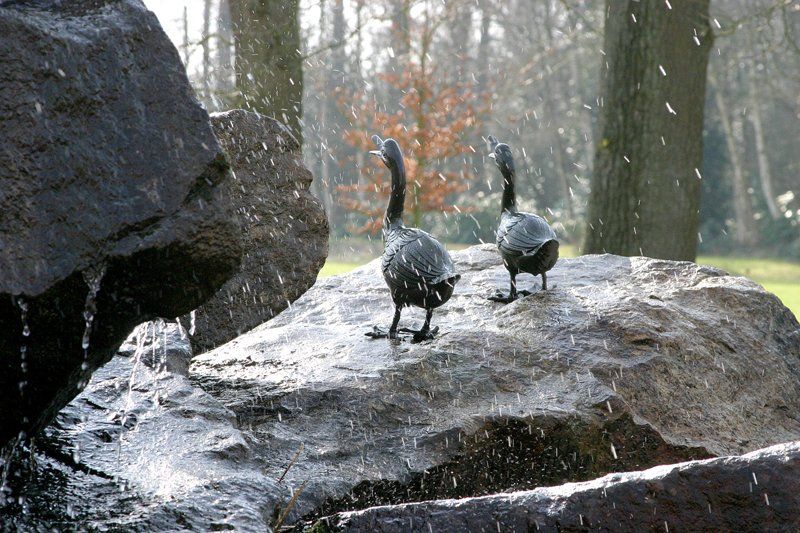 Twee eenden staan ​​op een rots bij een waterval