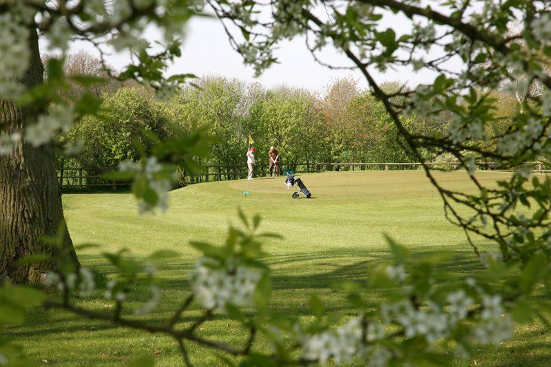 Een groep mensen speelt golf op een weelderig groen veld.