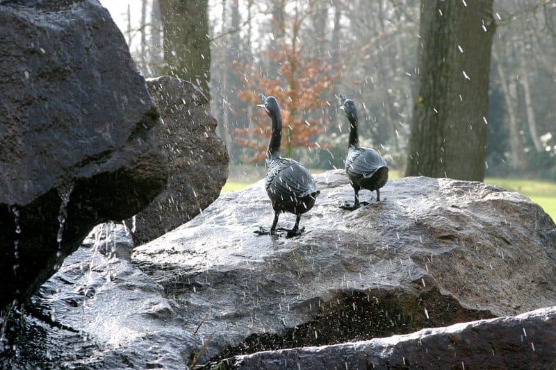 Zwei Enten stehen auf einem Felsen in der Nähe eines Brunnens